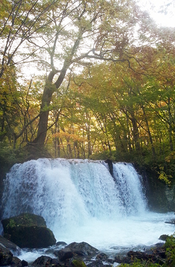 奥入瀬渓流の秋写真２
