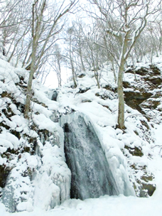 奥入瀬渓流の冬写真３